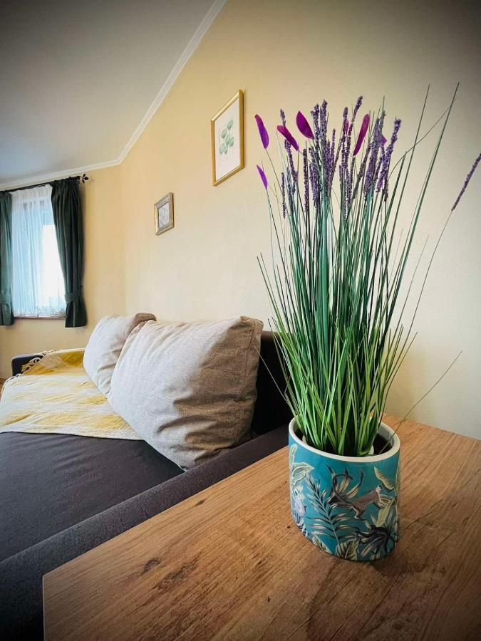 The Green Guest House Of Veliko Tarnovo-Amazing View, Top Location Exteriér fotografie